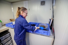 Litara Higgie, staff member of GoTerra working in the organisation facilities in Canberra, Australia