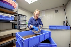 Litara Higgie, staff member of GoTerra working in the organisation facilities in Canberra, Australia