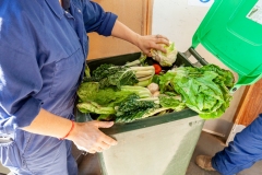 Olympia Yarger and Chris Stevenson obverse foddering waste collected from supermarkets brought to GoTerra facilities in Canberra, Australia.
GoTerra091