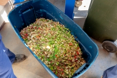 Food waste collected from supermarkets brought to GoTerra facilities in Canberra, Australia