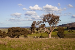 Mount Rothwell research and conservation centre in Victoria, Australia.