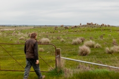 Tim Hill, general manager of Tiverton Farm, on the farm's land. Victoria, Australia