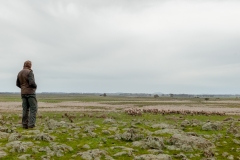 Tim Hill, general manager of Tiverton Farm, on the farm's land. Victoria, Australia