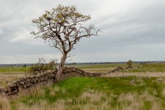 Tiverton Farm land in Victoria, Australia