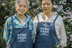 Teresa Zhang, started at the Tianfu Garden Farm (God's Grace Garden) many years ago when she started suffering from poor health. Up to that point she was working in international trade in a high profile job. Her change of circumstances, and her devout faith in Christianity, led her to start this organic farm on the outskirts of Beijing she claims. This organic farm is one of the very first  of its kind in this region. Chang Tianle, runs the Beijing Farmers' Market. Today she volunteered her time at the Tianfu Garden Farm (God's Grace Garden) to help pick ripe organic cherries.