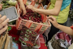 God's Grace Farm selling organic cherries at the Beijing Farmer's Market.