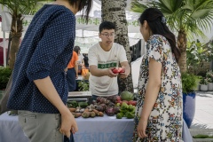 Zhang You works for Shared Harvest CSA and is selling produce from the farm at Beijing Farmer's Market.