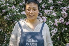 Chang Tianle, who runs the Beijing Farmers' Market. She volunteers her time at the Tianfu Garden Farm (God's Grace Garden) to help pick ripe organic cherries.