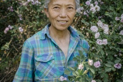 Teresa Zhang, started at the Tianfu Garden Farm (God's Grace Garden) many years ago when she started suffering from poor health. Up to that point she was working in international trade in a high profile job. Her change of circumstances, and her devout faith in Christianity, led her to start this organic farm on the outskirts of Beijing she claims. This organic farm is one of the very first  of its kind in this region.