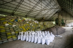 Organic fertilizer made at the rice processing plant for the organic rice and duck farm nearby.