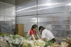 Packing boxes with customers' orders at Shared Harvest. Shared Harvest is an organic farm promoting the CSA / Community Shared Agriculture model. Since the program started in May 2012, Shared Harvest has developed and now posseses 66 acres based in Tongzhou and Shunyi Districts in Beijing, planting organic vegetables, fruit and grains and also breeding livestock.