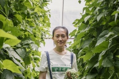 Shi Yan, one of the co-founders of Shared Harvest. Shared Harvest is an organic farm promoting the CSA / Community Shared Agriculture model. Since the program started in May 2012, Shared Harvest has developed and now posseses 66 acres based in Tongzhou and Shunyi Districts in Beijing, planting organic vegetables, fruit and grains and also breeding livestock.