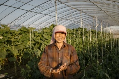 Liu Guiyan, from Heilongjiang province, left her hometown to work on a farm in Beijing in 2014. She picked up some farming skills there, and joined Shared Harvest last year. Shared Harvest is an organic farm promoting the CSA / Community Shared Agriculture model. Since the program started in May 2012, Shared Harvest has developed and now posseses 66 acres based in Tongzhou and Shunyi Districts in Beijing, planting organic vegetables, fruit and grains and also breeding livestock.