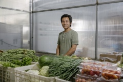 Ni Guangxuan, 28, from Qinhuangdao, Hebei province. He’s a trainee of the Little Donkey Farm (Shi Yan’s first farm), and as part of the trainee program, he’s working at Shared Harvest for 6 months. He used to be a cook, and tried to run his own organic farm in Qinhuangdao between 2014 and 2018. He joined the trainee program to learn more about organic farming and how it works on a big farm. “I did everything myself on my farm, from farming to harvest, from packaging to sales, all by myself. Here everyone has their own job. There’s a clear division of labor.” In the future, he hopes to open his own farm that’s supported by restaurants, inspired by the concept of Restaurant Supported Agriculture.