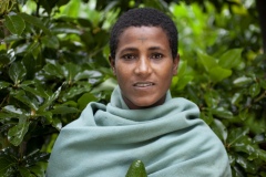 Balaynesh Kasa 27, a female farmer and beneficiary of the Debre Yacob Learning Watershed Restoration Project in Bahir Dar, Ethiopia. Photographed with her avocado trees, animals, beehives and waterpump and her 4 children
Eyrus 12, Ambtebal 9, Berekt 6 and Asmara 1 and a half yrs.
She says, “What we got from the project was the plants - 8 years ago, banana plants, avocado plants and hops
Before we had nothing.
When the project supported us we got all this benefit, for example the bananes, the kids eat them and I can sell them in the market, the hops I sell and I buy all the merchandise for the house like coffee, pepper, onions, oil, salt, meat, clothes for the kids, I can buy Medicines when they are sick, i buy all this just by selling the hops. In the past we struggled a lot. Now I can support my family and spend time with my kids (before I was sat in the market every day as a small trader) and I am so happy with this support, it has changed my life and I am so happy. All my kids can go to school now whereas before I might only have been able to send one. I would love my kids to be doctors and go further than I did.
I also have a beehive and a water pump.”