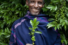 Homestead Farmer, Tilahun Gelaye 68, a beneficiary of The Debre Yacob Watershed Learning Restoration Project in Bahir Dar, Ethiopia.
He says, 
“I have been involved with the project for 8 years now. 
In the past I used to live in a small hut, now I live in a house with corrugated iron roof.
I got many things from the project:
Mangoes
Bananas
Coffee
Lemons
Hops
Papaya
Cows I was able to house properly with advice
The difference with being involved in the project is huge, now we are living cleanly and safely.
We don’t have to go to the market for fruits to feed our children, and we feel very healthy, we don’t get sick.
I have 8 kids. One is studying medicine in Bahir Dar, one is a teacher. Others are married. I have just one son. The project has supported all this. We built a school here in the community. I feel such happiness. In the past there was hunger and starvation but now there is happiness in the area.