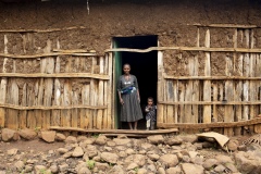 Antigegn Wunetu 30 and his wife, Mekle Wunete 27 with son (photographed with chickens) Adisu 7 and baby Simegn 1 yr 9months, beneficiaries of The Debre Yacob Watershed Learning Restoration Project in Bahir Dar, Ethiopia.

Antigen says,
“ I have just bought 24 chickens.
Before they started the project 8 years ago there was nothing growing here. Since they supported the community I can now grow vegetables, fruits, and chickens. We are benefiting so much, we can eat our produce and sell the leftovers, I get benefit from avocado, hops, mangos, hops, we didn’t know avocado before they brought it here. We used to have a small grass covered hut, now we have a big house. All my expenses are now covered.
Before I was thinking we would have to move because there was nothing here, now there is everything.
Have 4 children, and they are all involved in the farming. They love it. When they are not in school. They each have their jobs to help with on the farm and we are all enjoying being involved as a family.
I am so happy when I am doing the farming, but when I see the beauty of this now green area it makes me even happier.”