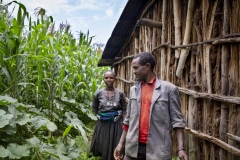 Antigegn Wunetu 30 and his wife, Mekle Wunete 27 with son (photographed with chickens) Adisu 7 and baby Simegn 1 yr 9months, beneficiaries of The Debre Yacob Watershed Learning Restoration Project in Bahir Dar, Ethiopia.

Antigen says,
“ I have just bought 24 chickens.
Before they started the project 8 years ago there was nothing growing here. Since they supported the community I can now grow vegetables, fruits, and chickens. We are benefiting so much, we can eat our produce and sell the leftovers, I get benefit from avocado, hops, mangos, hops, we didn’t know avocado before they brought it here. We used to have a small grass covered hut, now we have a big house. All my expenses are now covered.
Before I was thinking we would have to move because there was nothing here, now there is everything.
Have 4 children, and they are all involved in the farming. They love it. When they are not in school. They each have their jobs to help with on the farm and we are all enjoying being involved as a family.
I am so happy when I am doing the farming, but when I see the beauty of this now green area it makes me even happier.”