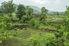 Land leveing at the Sagai village.