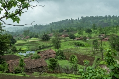 Sankli village in Sagai forest in Narmada district in Gujrat.