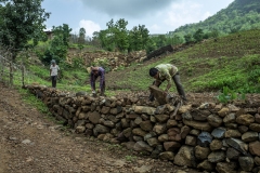 Men works on farm bunding in the fields of Sagai forest villages in Narmada district in Gujrat.