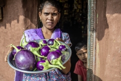family of Mogiyabhai shows Brinjal they produced at their house in Sankli village in Sagai forest in Gujarat.