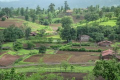 Land leveing at the Dabaka village in Narmada district in Gujrat.