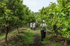 technitians at work in R&amp;D fileds of the Jain Irrigation in thier Jalgoan facility in Jalgoan.
