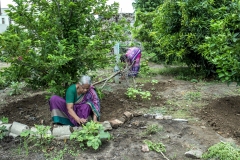 Venkat Ratnam & Kurre Padma at thier kitchen garden in village Ramachandrapuram where they have adpoted Zero Budget Natural Farming.