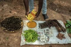 A farmer perapers Dashparnikashayam at his field as a part of Zero Budget Natural Farming.