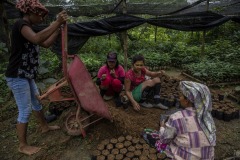 Women community members put soils on polybags for new seedlings at a nursery at the Cinta Raja Rainforest Restoration Site in Gunung Leuser National Park (GNLP) in Sumatra, Indonesia.