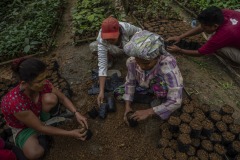 Women community members put soils on polybags for new seedlings at a nursery at the Cinta Raja Rainforest Restoration Site in Gunung Leuser National Park (GNLP) in Sumatra, Indonesia.