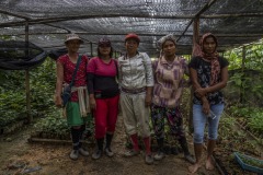 Portrait of women community members at a nursery at the Cinta Raja Rainforest Restoration Site in Gunung Leuser National Park (GNLP) in Sumatra, Indonesia.