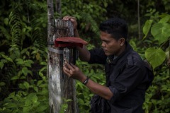 A field worker checks battery level of a camera trap at the Cinta Raja Rainforest Restoration Site in Gunung Leuser National Park (GNLP) in Sumatra, Indonesia.