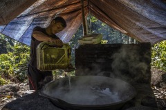 A farmer boils the sap collected from the sugar palm tree to be turned into sugar at a forest in Sintang regency, West Kalimantan, Indonesia.