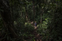 A farmer walks back to his traditional boiling station after collecting the sap at a forest in Sintang regency, West Kalimantan, Indonesia.