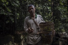 Portait of an ilipe nut farmer at the forest in Sintang regency, West Kalimantan, Indonesia.