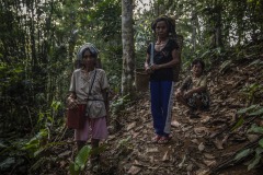 Portait of ilipe nut farmers at the forest in Sintang regency, West Kalimantan, Indonesia.