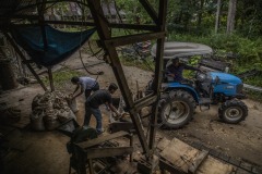 An ilipe nut processing plant in Sintang, West Kalimantan, Indonesia.