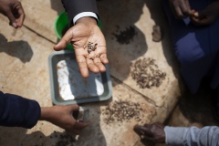 Dr Birhanu, age 39, Research Directorate Director at Gullele Botantical Gardens, Addis Ababa, Ethiopia.