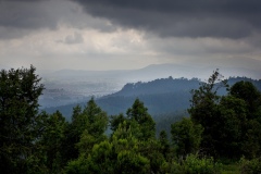 The Gullele Botanical Gardens in Addis Ababa covers 705 hectares and have visitors from all over the world including local community. The establishments of a botanic garden as a living museum of plants which otherwise might become last or extinct is long over due in Ethiopia.  For one, the country has plants whose survival is threatened and which are part of its cultural heritage. These and those introduced from elsewhere have to be preserved live or in a herbarium with adequate documentation for future generations to act as referral for these plants.
Mission:
Rescue threatened flora from extinction, contribute towards conservation and research on biodiversity and sustainability education as well as ecotourism development.
The Objectives of the gardens are:
Conservation
Enhance biodiversity conservation and offer a refuge and better security for threatened species, ecosystem models, genetic and species diversity, contribute to worldwide plant germplasm conservation efforts.
Research
Conduct research on different plant species, species interaction, ecological dynamics, vegetation, climate change relations vis-à-vis and assist in local, regional and national socio- economic development.
Ecotourism
Develop nature based world standard model eco-friendly recreational facilities that would constitute one of the tourist’s attractions to our national and continental capital city.
Education
Offer environmental education for sustainability through the entire curricula with special attention to the young, providing training on sustainable gardening horticulture, floriculture, urban agriculture and urban forestry.