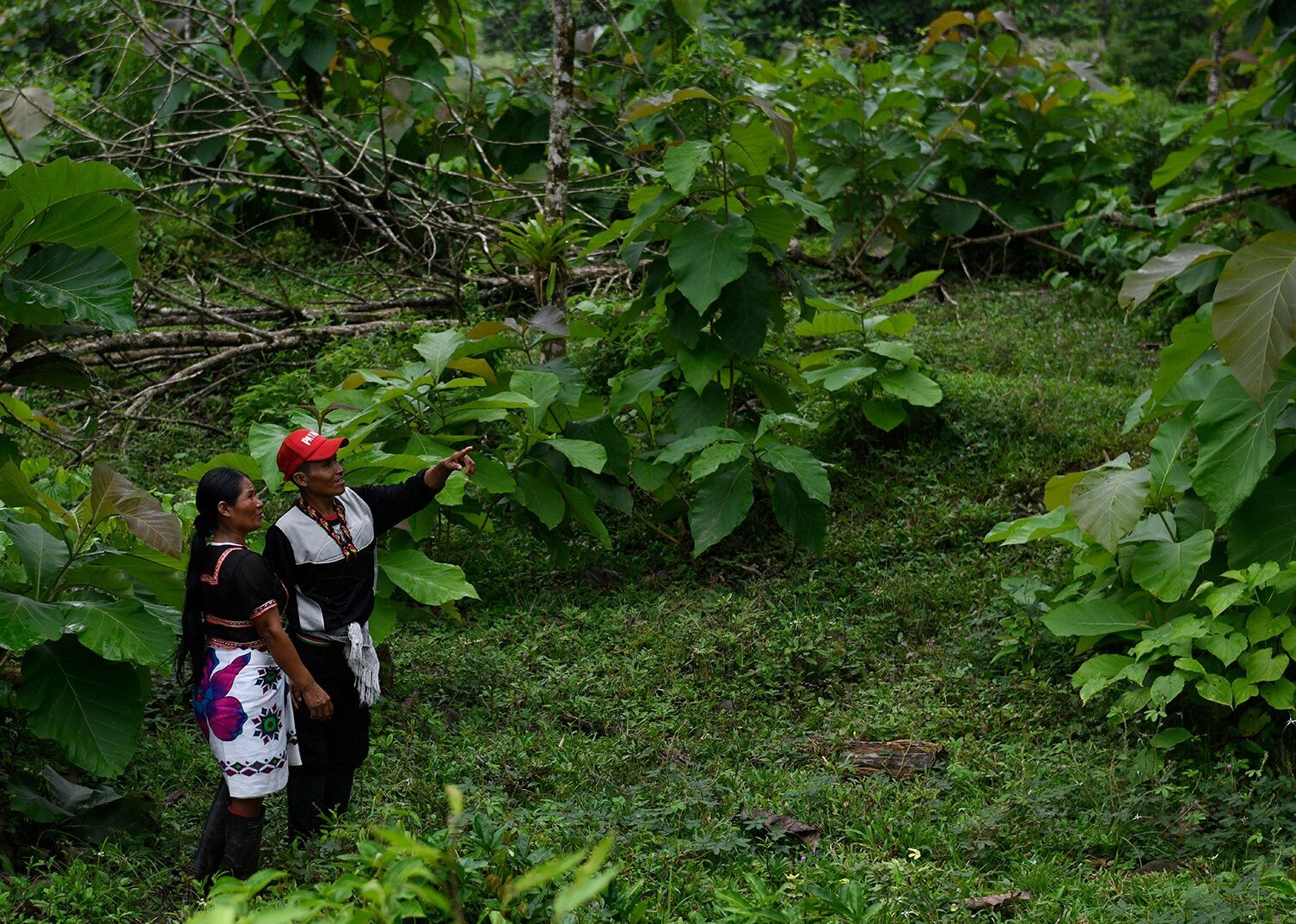 Regenerative economic growth in Colombia