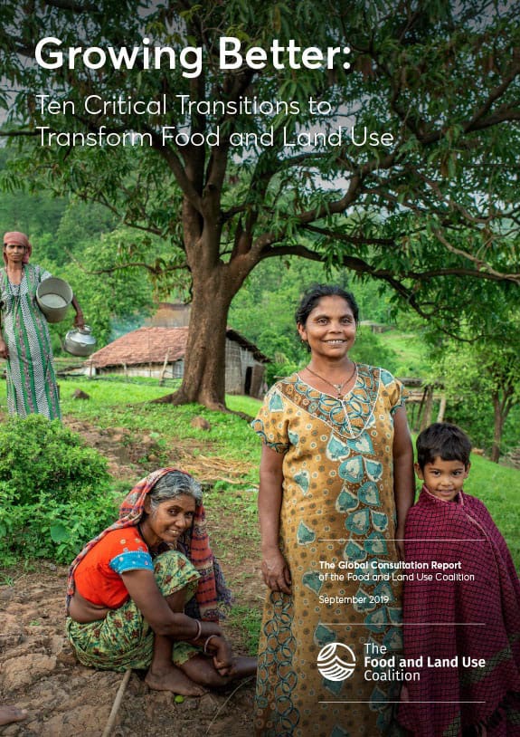 Ten Critical Transitions to Transform Food and Land Use