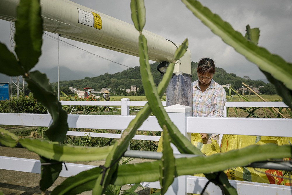 Prof. Shenggen Fan published an article on “Nature Food” to discuss the contribution and role enhancement of economics and emerging economies in the transformation of the food system