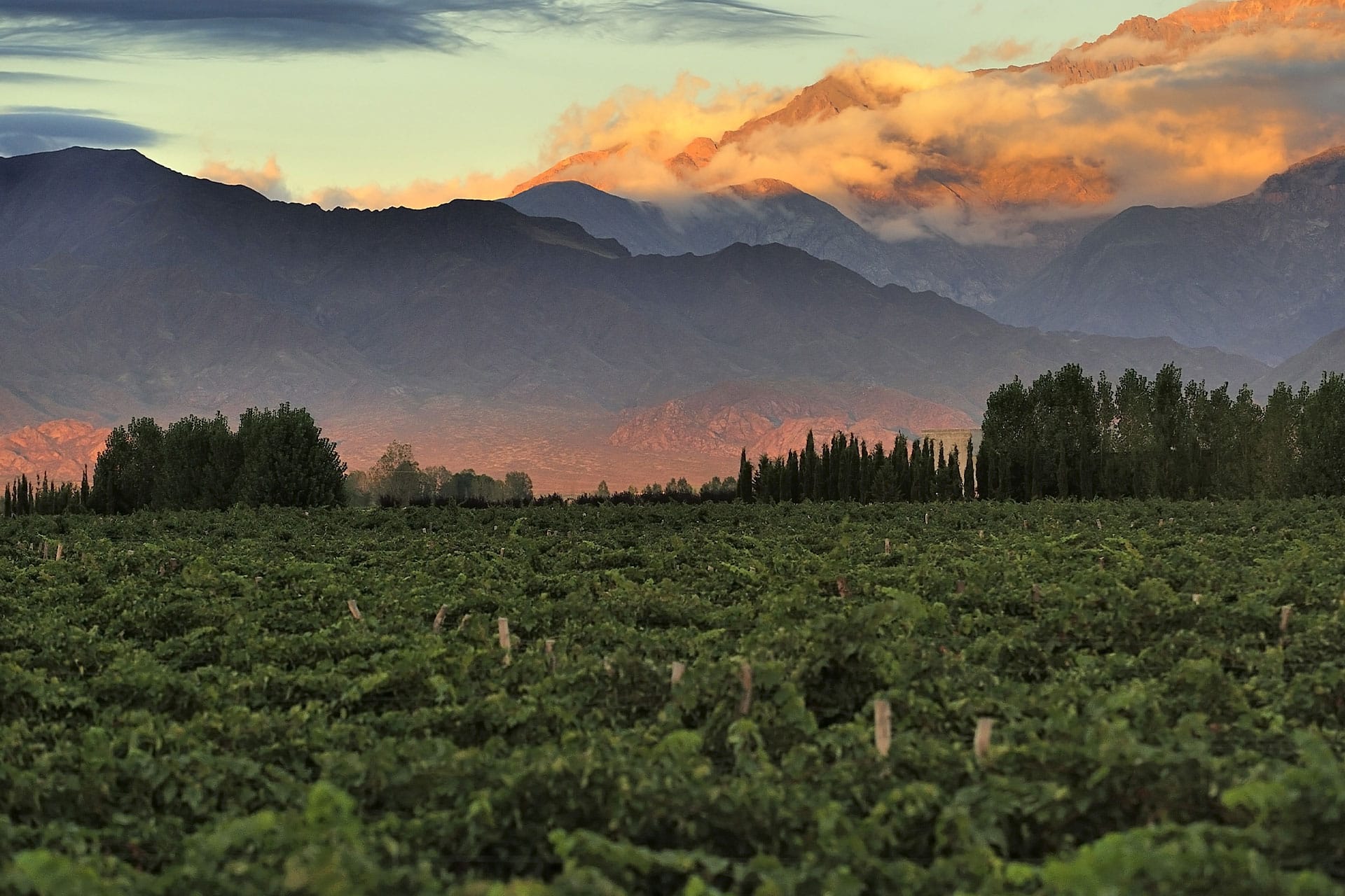 Argentina - Food and Land Use Coalition