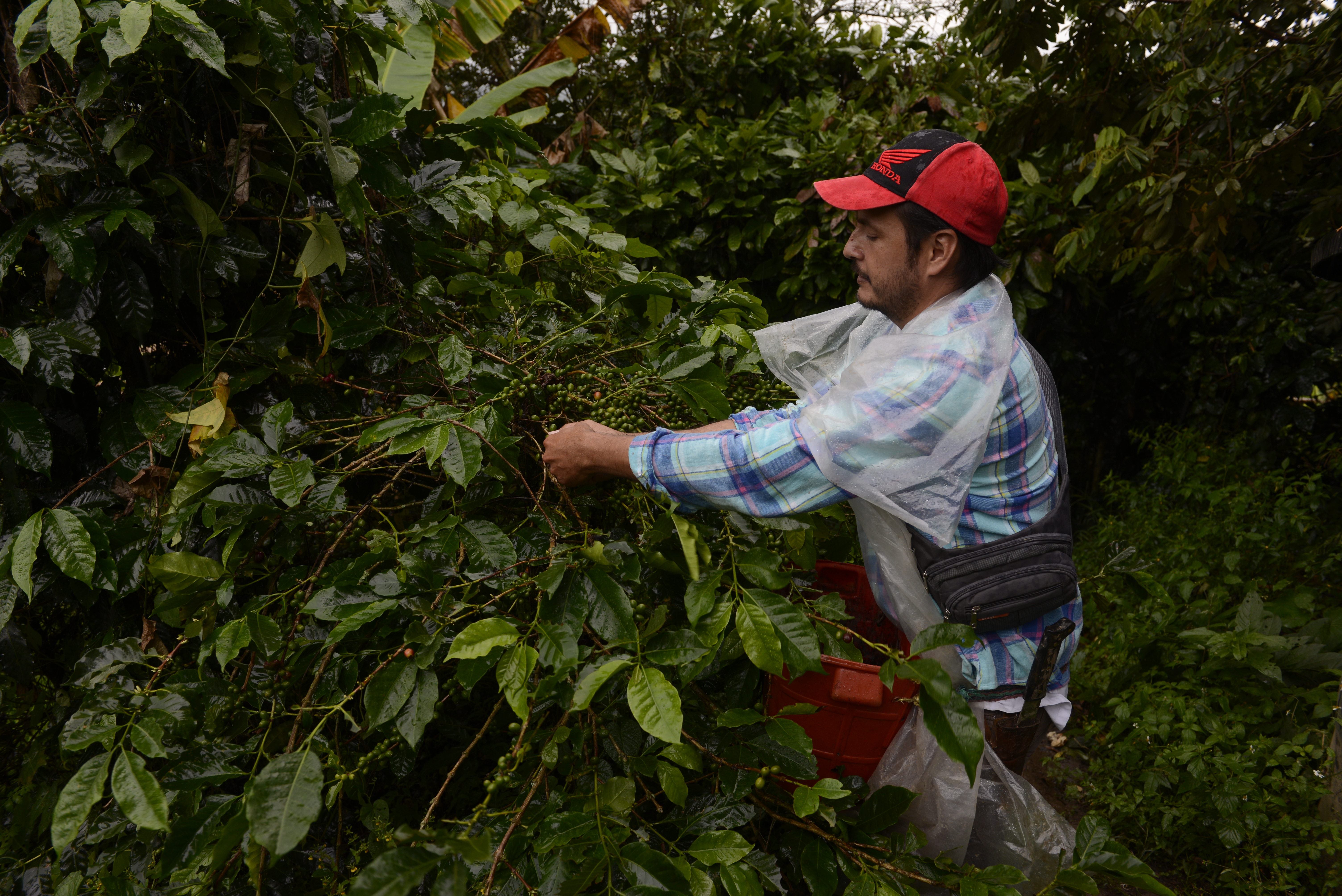 Colombian farmers teach others to work with nature for healthy and sustainable food