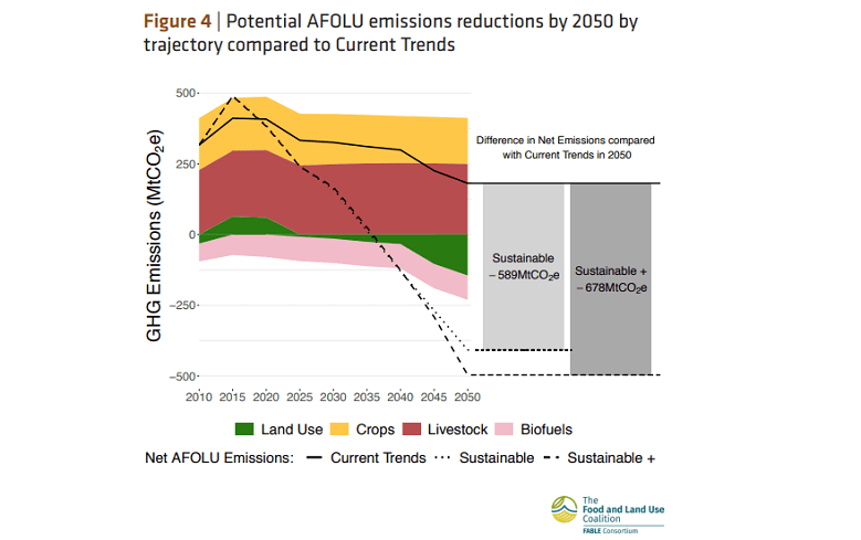 Chart showing AFOLU emissions reductions by 2050