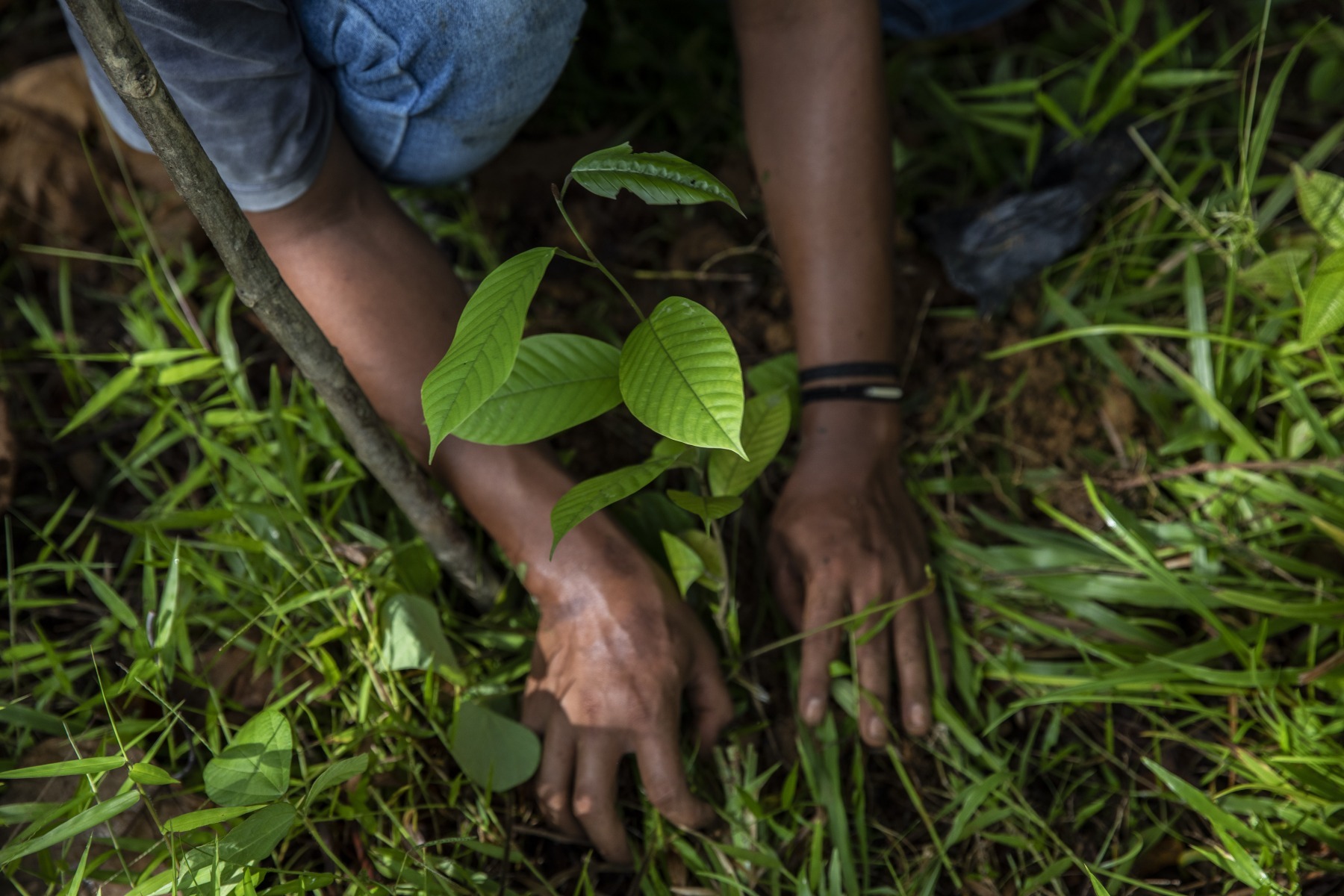 Three ways the G7 can help achieve sustainable land use and trade