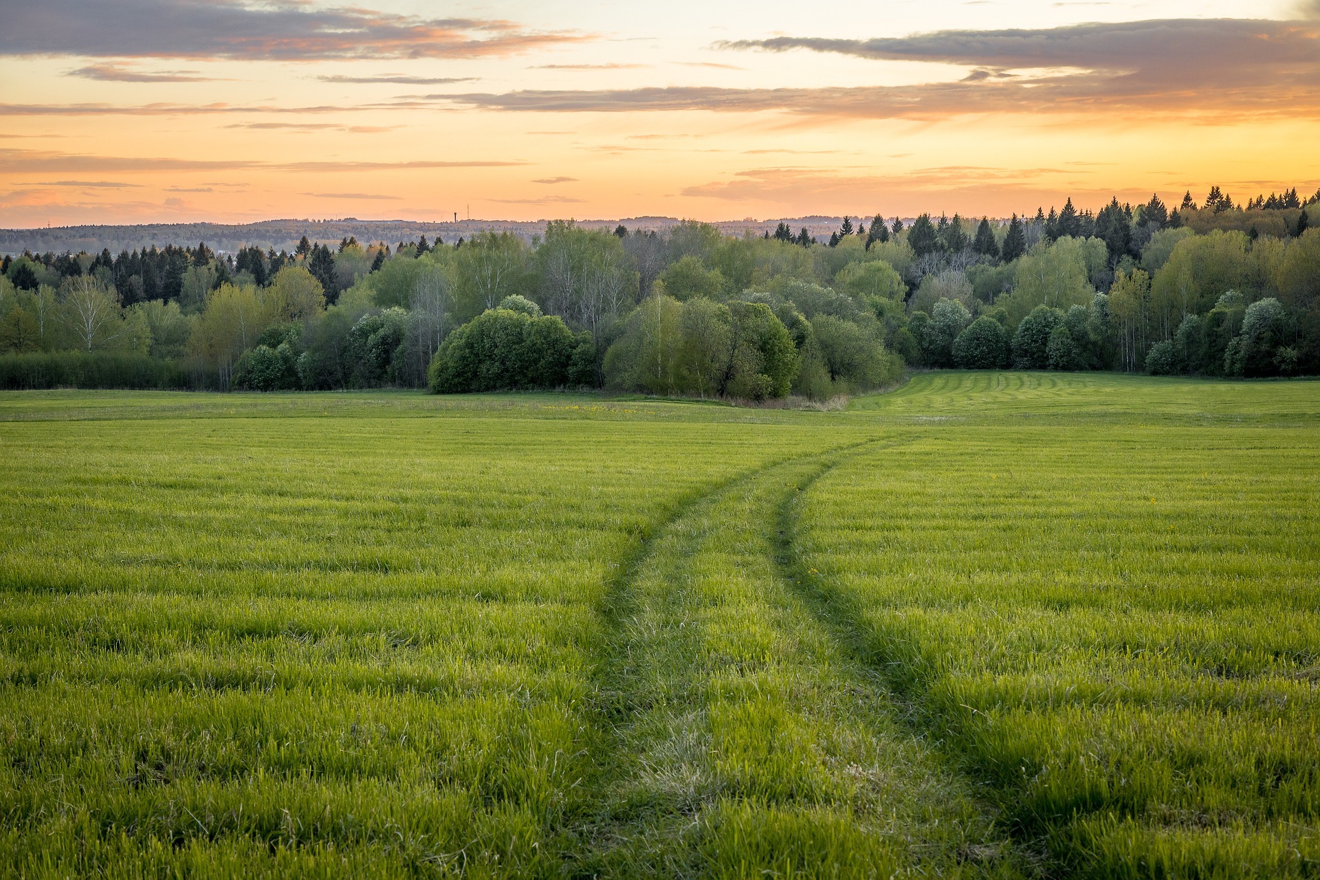 The carbon footprint of crop production in Russia