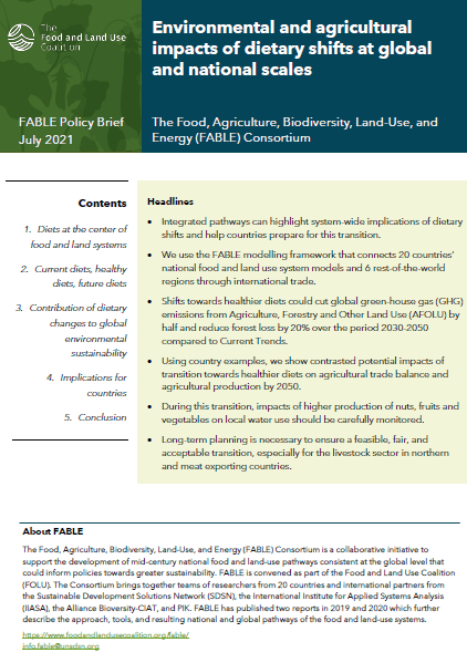 Envrionment and Agricultural Impact of Dietary Shifts - FABLE Publication